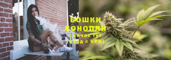 стафф Горно-Алтайск
