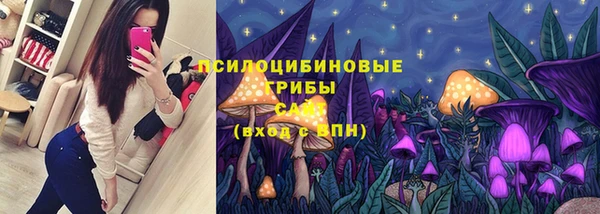 2c-b Гусев