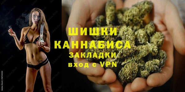 2c-b Гусев