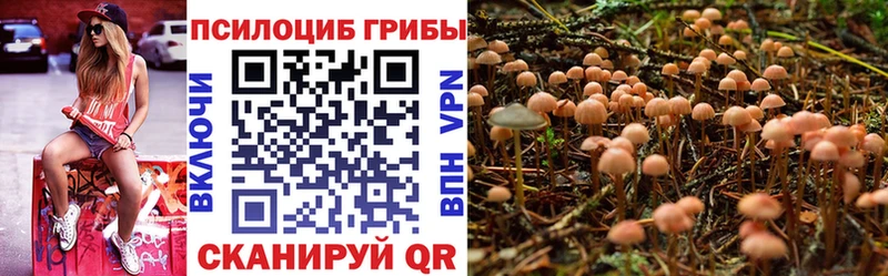 Псилоцибиновые грибы Magic Shrooms  Назарово 