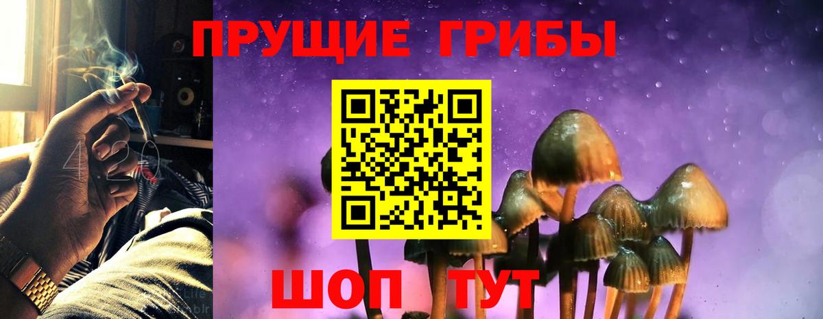 Псилоцибиновые грибы мухоморы Назарово