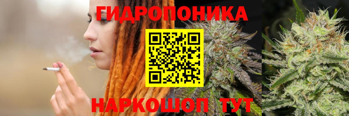 Шишки марихуана планчик Назарово